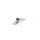 Befestigungsschelle, Typ 541, 1 x 19 mm, 1 Leitung / 2 Bohrungen