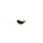 L-Steckverschraubung kurz, SQSMLM54, M5, 4 mm, Mini- Baureihe, mit O-Ring