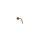 Pressnippel, DN06 DKOS 08 M16 x 1.5, SW20 90°, DKO 24°, metr.