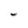 L-Steckverschraubung kurz, SQSML184, G 1/8 Zoll, 4 mm, Mini- Baureihe, mit OR