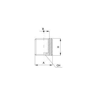 Reduziermuffe, Typ A 014 14 18 (2/1 RS), R 1/4 Zoll / G 1/8 Zoll