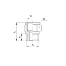 Reduziernippel, Typ A 003 18 14 (4 PMF), G 1/8 Zoll / G...