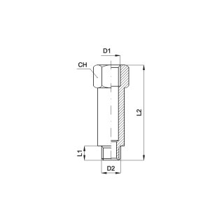 Reduzierverbindung, Typ A 039 R 1/8 - 44 lg., IG G 3/8 Zoll, AG R 3/8 Zoll
