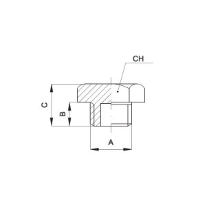 Verschlussstopfen, Typ A 008 12 12 (4 T), R 1/2 Zoll