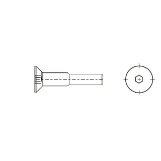 Senkschrauben mit Innensechskant, DIN 7991, M12 x 40 mm, Stahl verzinkt